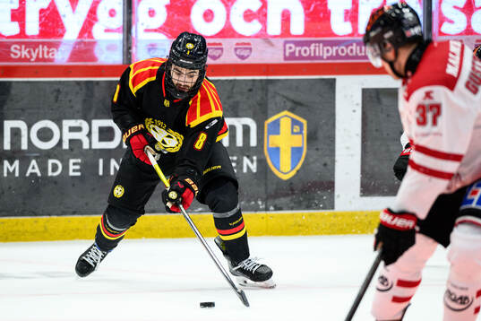 Brynäs Bobby Trivigno