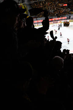 Brynäs Jakob Silfverberg jublar med lagkamrater och