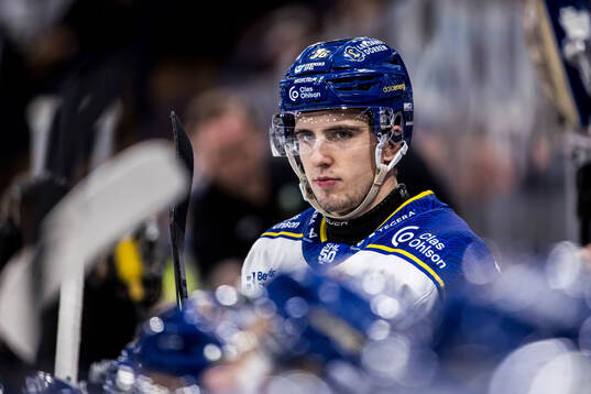 Leksands Stefan Milosevic