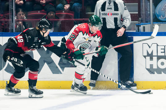 Malmö Redhawks Lauri Pajuniemi och Frölundas Noah Hasa