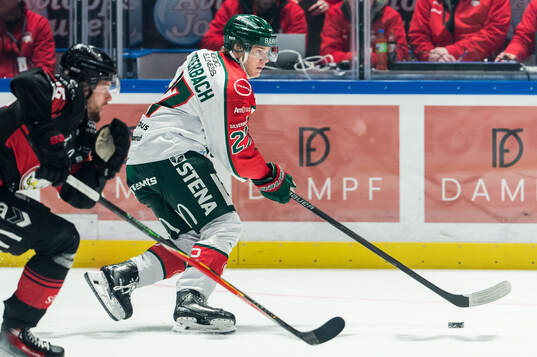 Frölundas Theodor Niederbach och Malmö Redhawks Carl