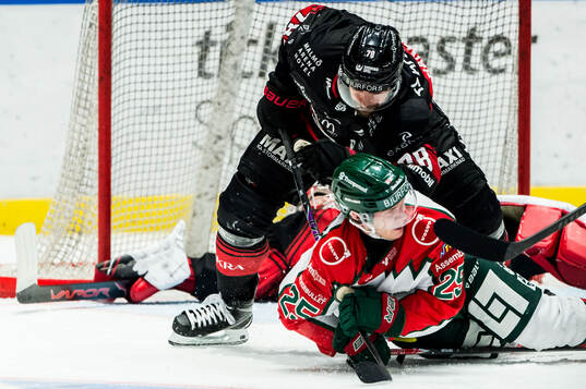 Malmö Redhawks Robin Hanzl och Frölundas Arttu