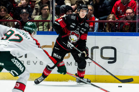 Malmö Redhawks Martin Schreiber