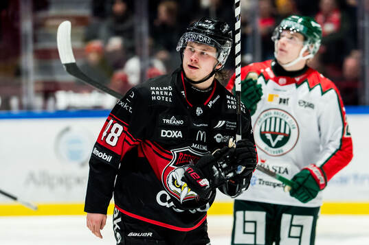 Malmö Redhawks Lauri Pajuniemi