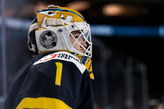 Goaltender Herman Liv of Sweden