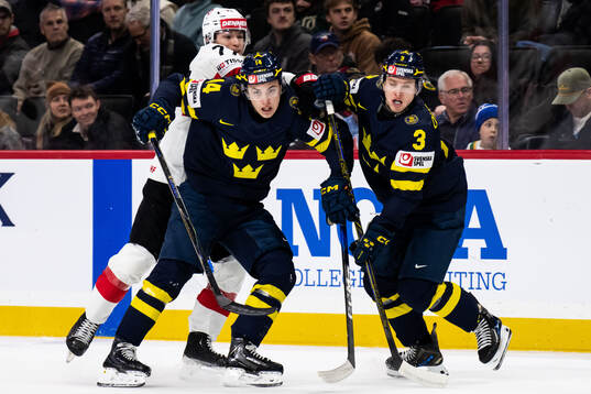 Linus Eriksson and Felix Öhrqvist of Sweden against Loris