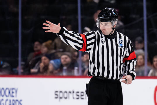 Referee Tomas Mejzlik