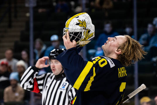 Goaltender Love Härenstam of Sweden