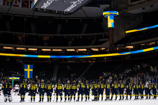 Players of Sweden