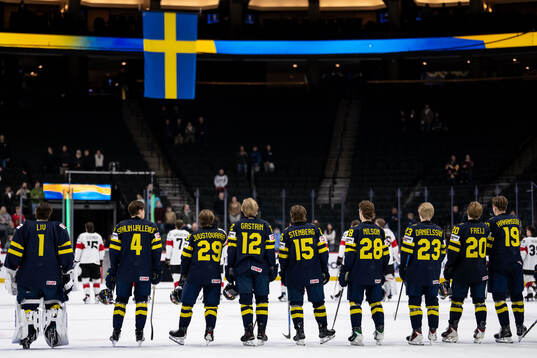 Players of Sweden