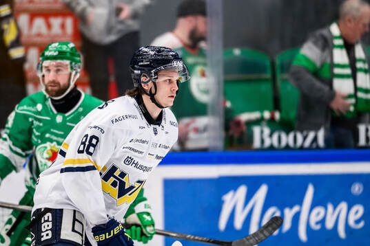 HV71s Tim Lindfors