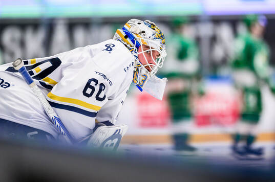 HV71s målvakt Felix Sandström