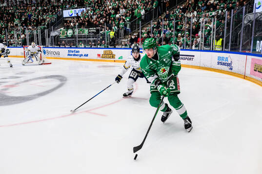 HV71s Hugo Fransson och Rögles Lubos Horky