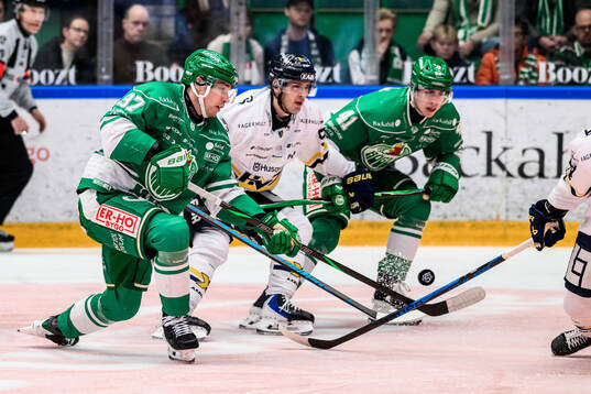 Rögles Albin Sundsvik och HV71s Nikola Pasic