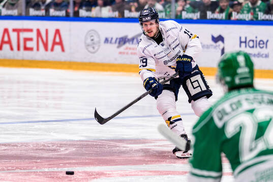 HV71s Niklas Hansson