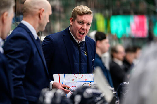 HV71s tränare Anton Blomqvist
