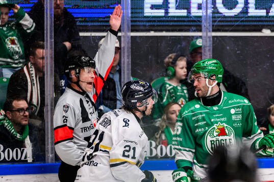 Domare Tobias Björk och HV71s Mattias Tedenby och Rögles