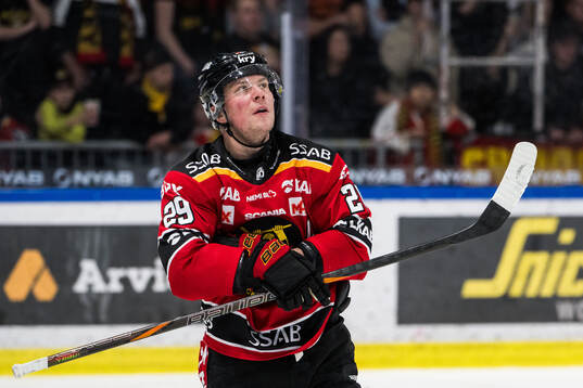 Luleås Erik Gustafsson deppar