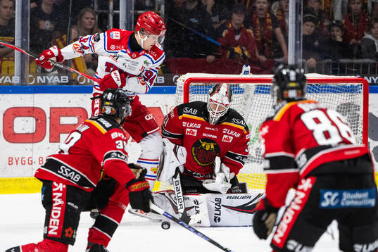 Timrås Sebastian Hartmann och Luleås målvakt Matteus Ward