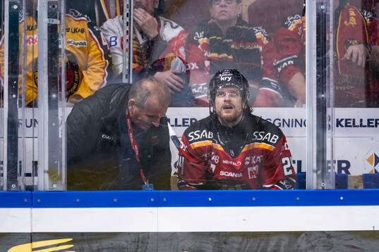 Luleås Brendan Shinnimin i utvisningsbåset