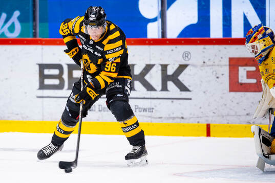 Skellefteås Rickard Hugg