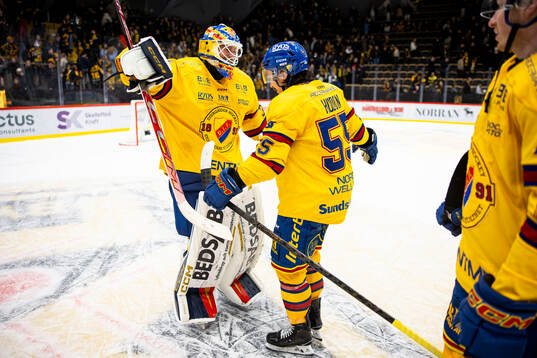 Djurgårdens målvakt Magnus Hellberg och Charles Hudon