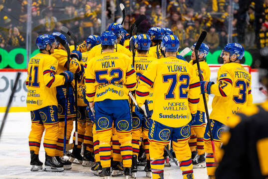 Djurgårdens spelare  jublar