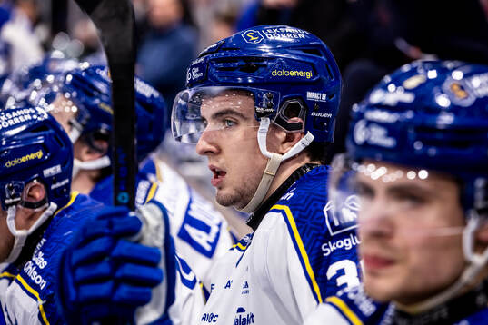 Leksands Stefan Milosevic
