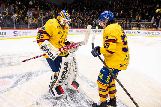 Djurgårdens målvakt Magnus Hellberg och Charles Hudon