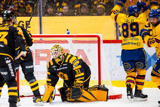 Skellefteås målvakt Jani Lampinen deppar och Djurgårdens