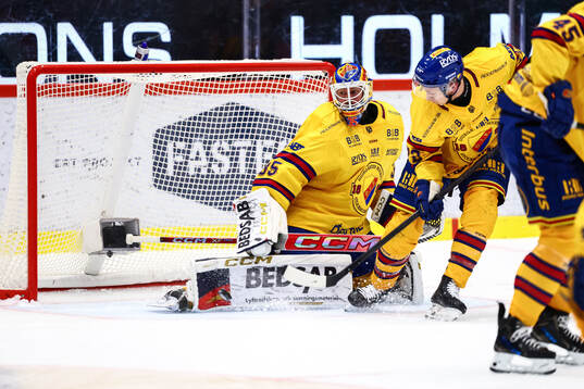 Djurgårdens målvakt Magnus Hellberg