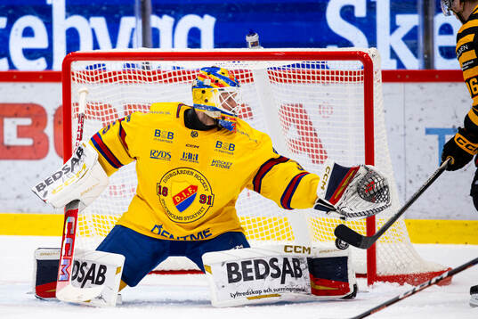 Djurgårdens målvakt Magnus Hellberg