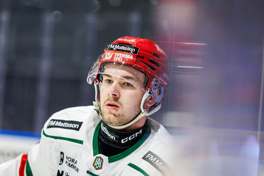 Moras Gustav Salmi-Lilja
