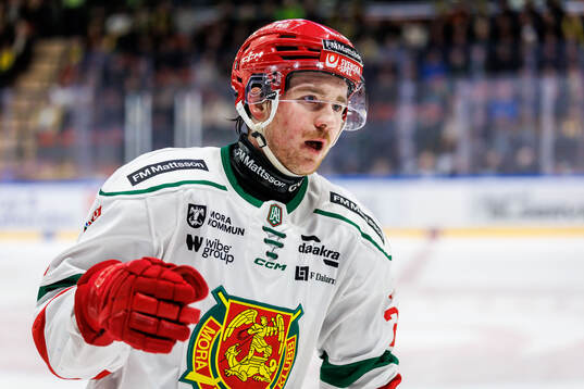 Moras Connor Maceachern jublar