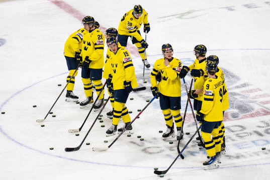 Players of Sweden