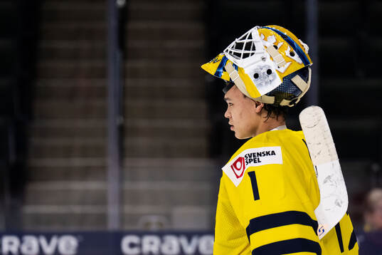Goaltender Herman Liv of Sweden