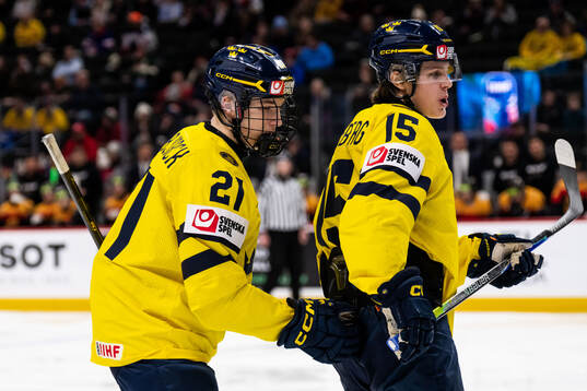 Viggo Björck and Ivar Stenberg of Sweden