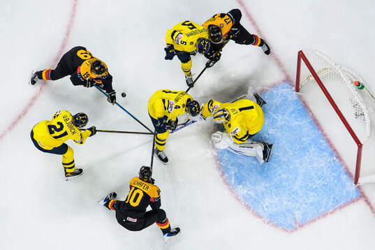 Viggo Björck, Leo Sahlin Wallenius, Sascha Boumedienne and