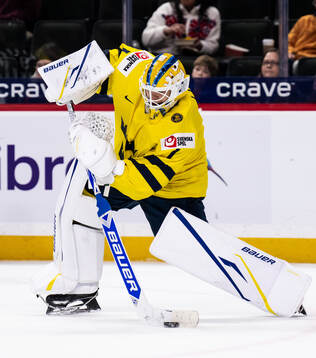 Goaltender Herman Liv of Sweden