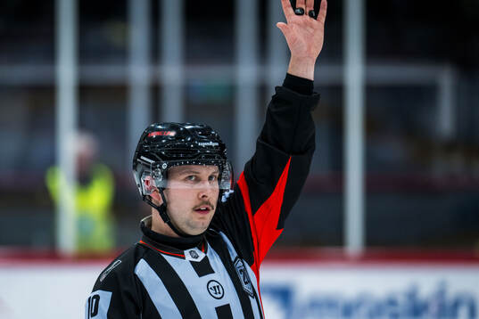 Domare Alex Eriksson