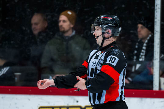 Domare Alex Eriksson