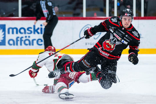 Bläddra bland fler bilder av Ishockey, Hockeyallsvenskan, Nybro - Modo
