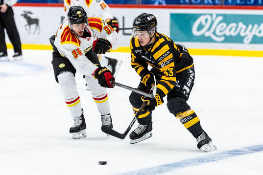 Brynäs Linus Ölund och Skellefteås Zeb Forsfjäll