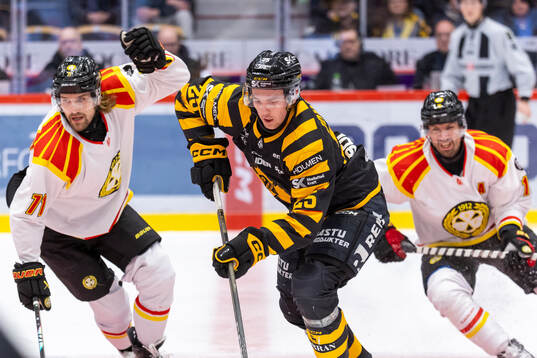 Brynäs Axel Jonsson-Fjällby och Skellefteås Pontus
