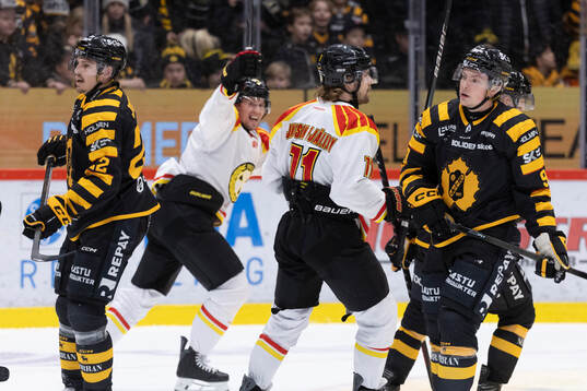 Skellefteås Jonathan Johnson och Victor Stjernborg deppar