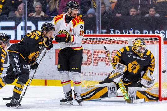 Brynäs Anton Rödin och Skellefteås målvakt Strauss Mann