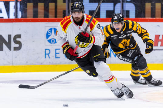 Brynäs Michal Kempny och Skellefteås Rickard Hugg