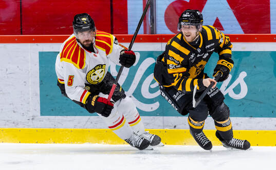 Brynäs Michal Kempny och Skellefteås Jonathan Davidsson