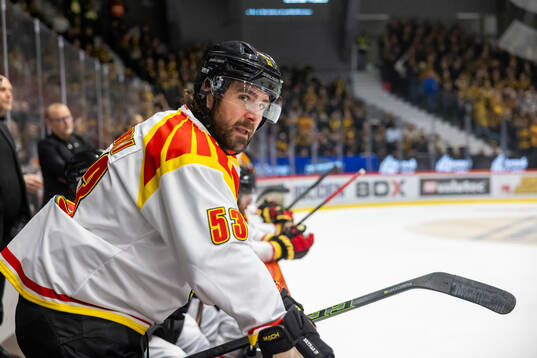 Brynäs Luke Witkowski