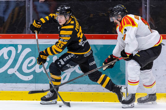 Skellefteås Zeb Forsfjäll och Brynäs Jakob Silfverberg
